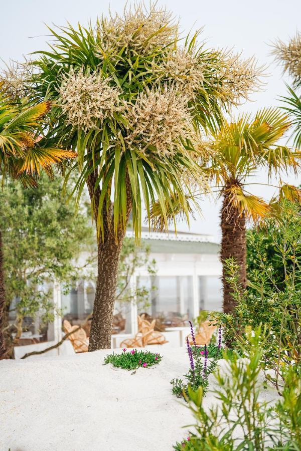 Hotel Le Noirmoutier バルバトル エクステリア 写真
